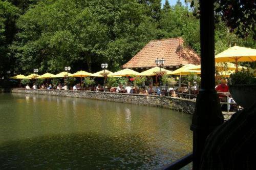 Waldhotel Silbermuehle ฮอร์น-บาด-ไมน์แบร์ก ภายนอก รูปภาพ